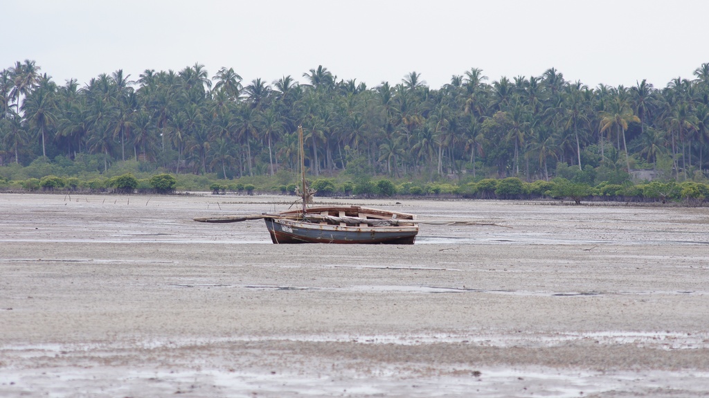 Boot auf dem Trockenen